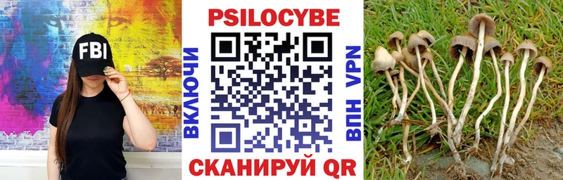 Псилоцибиновые грибы мухоморы  omg   Ялта  закладки 