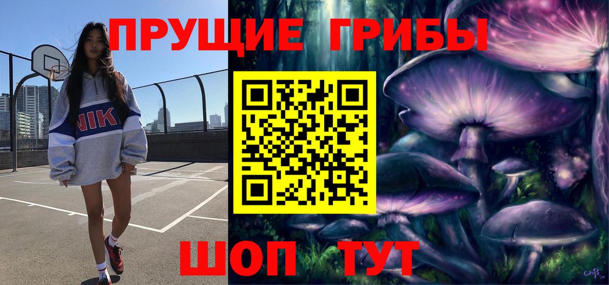 Псилоцибиновые грибы прущие грибы Ялта